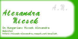 alexandra micsek business card